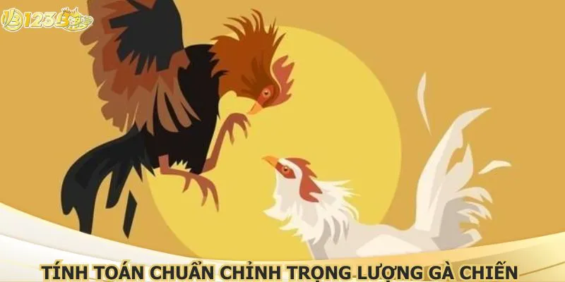 Tính toán chuẩn chỉnh trọng lượng gà chiến